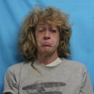 Mugshot of CHRISTY LEE BERRY