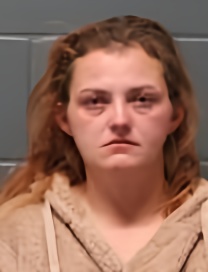 Mugshot of CHEYENNE RENEE ATCHISON