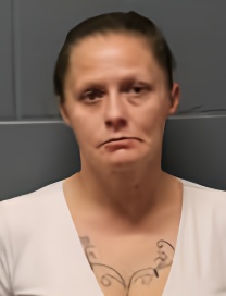 Mugshot of TARA LEA TOSSPON