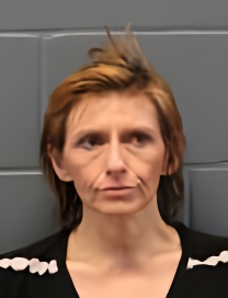 Mugshot of ANDREA BETH WILLIAMS
