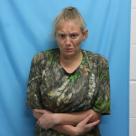 Mugshot of NICOLE DESIREE MCGREW