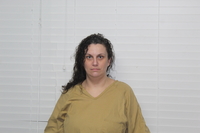 Mugshot of KILEY RENAY MCDONALD