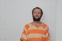 Mugshot of JAMIE LEVI GROOMS