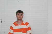 Mugshot of SCOUT A DOWNS
