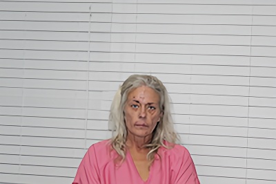Mugshot of JULIE DAWN HOPKINS