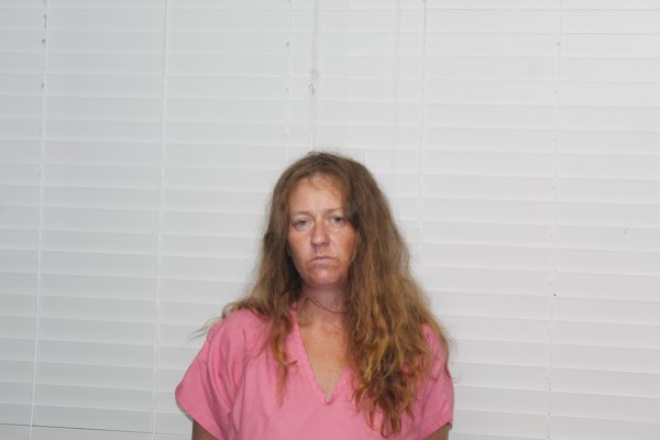 Mugshot of KRISTINE ELIZABETH NORGARD