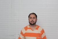 Mugshot of ROMA MIKHAIL RAYLYANU