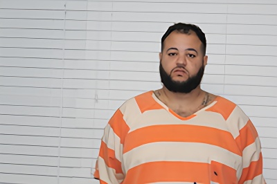 Mugshot of LUIS FERNANDEZ-LOZADA