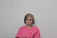 Mugshot of CHRISTINA LEANNA HOLMES