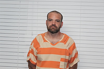 Mugshot of DRU LEWIS WOOD