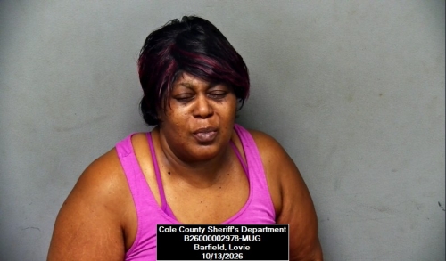 Mugshot of Lovie Toninetta Barfield