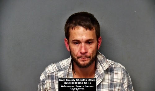 Mugshot of Travis James Adamson