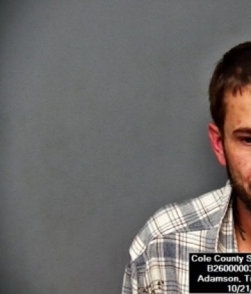 Mugshot of Travis James Adamson