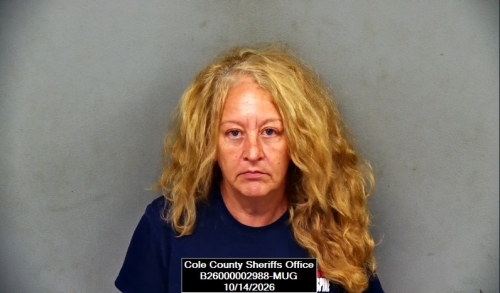 Mugshot of Brenda Renee Johnson