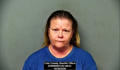 Mugshot of Wanda Kay Holt