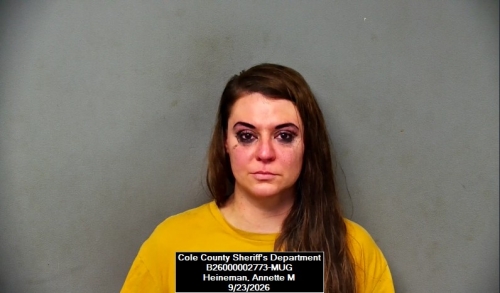 Mugshot of Annette Marie Heineman