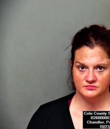 Mugshot of Patricia Dawn Chandler