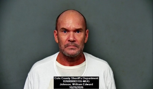 Mugshot of William Edward Johnson