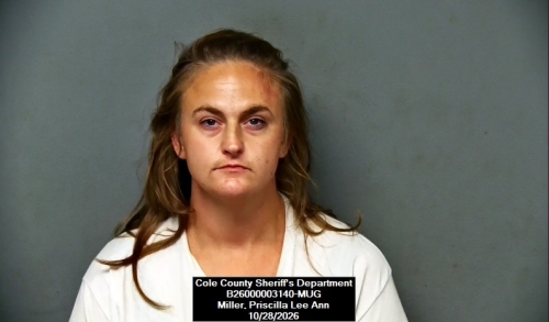 Mugshot of Priscilla Lee Ann Miller