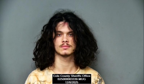 Mugshot of Brandon Richard Long