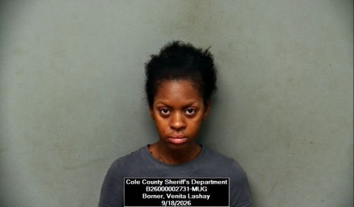 Mugshot of Venita Lashay Borner