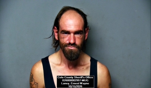 Mugshot of Ernest Wayne Laney
