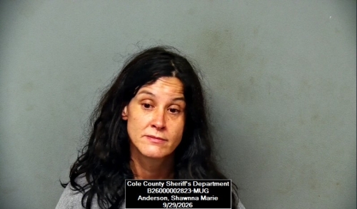 Mugshot of Shawnna Marie Anderson
