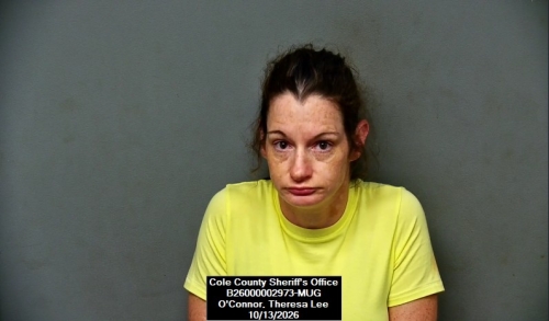 Mugshot of Theresa Lee O’Connor