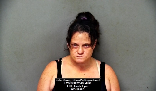 Mugshot of Trista Lynn Hill