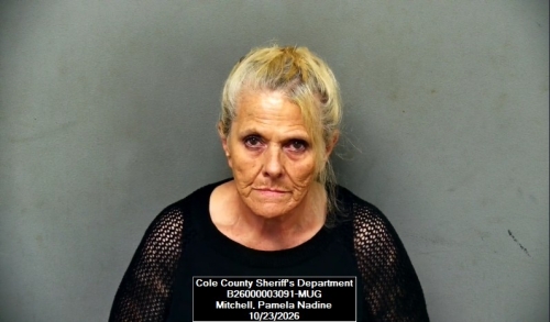 Mugshot of Pamela Nadine Mitchell