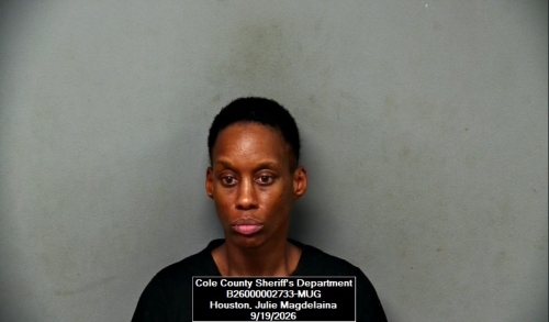 Mugshot of Julie Magdelaina Houston