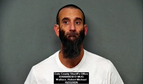 Mugshot of Robert Michael Wallace