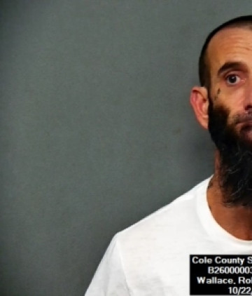 Mugshot of Robert Michael Wallace