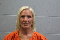 Mugshot of Mary Sue Harris