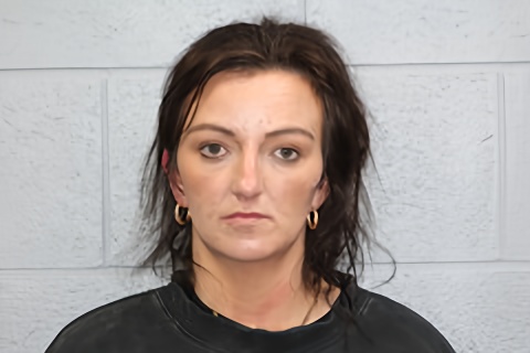 Mugshot of Lauren Nicole Robbins