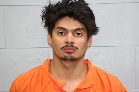 Mugshot of Wilmer David Cruz-alvarez