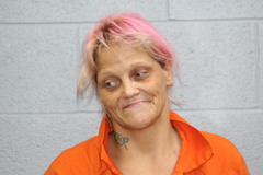 Mugshot of Nicole Lynn Hoke
