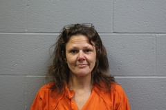 Mugshot of Sharisse Marie Sennholtz