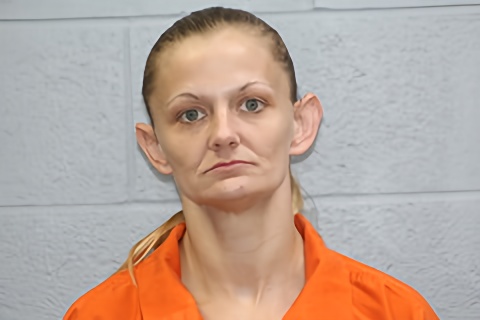 Mugshot of Shalena Natasha Hodges