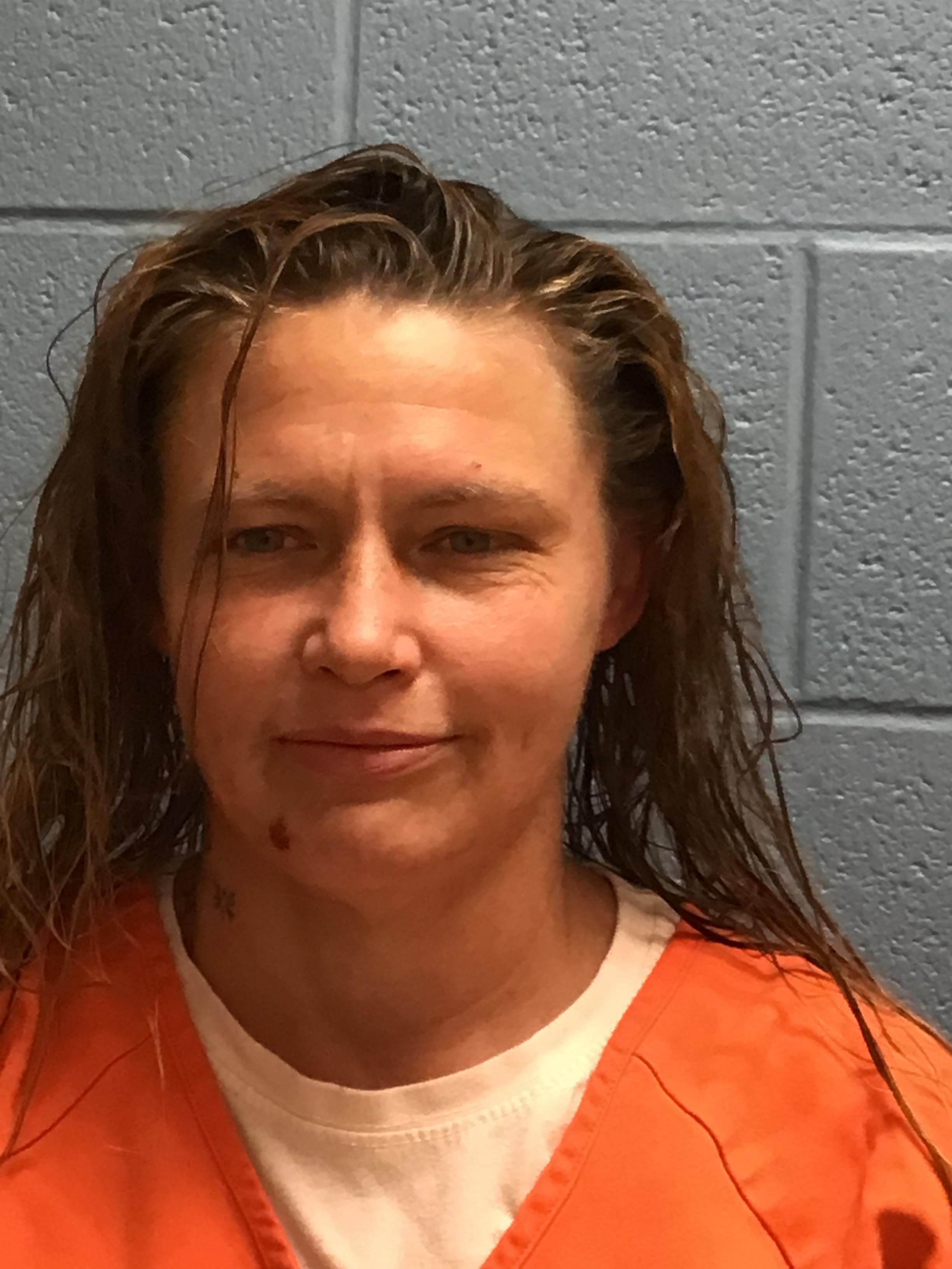 Mugshot of HOLLY ANN BOYER