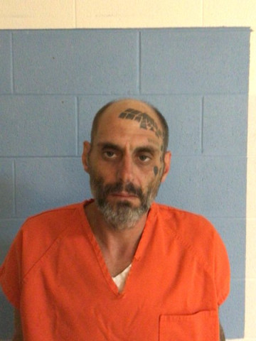 Mugshot of WARREN RAY VINSON