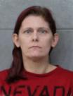 Mugshot of HEATHER E HOLMES