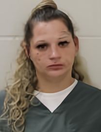 Mugshot of ASHLEY NICHOLE ELLIS