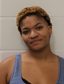 Mugshot of JOY BOYD