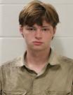 Mugshot of CURTIS NEVINS