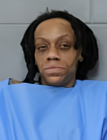 Mugshot of ERICA J HILL