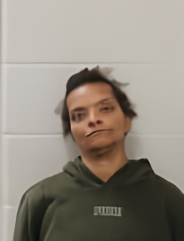 Mugshot of TISHA VAUGHAN