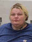 Mugshot of TERRI L WHEELER