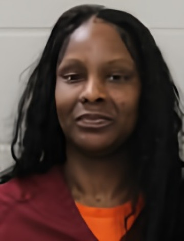 Mugshot of BRIDGETTE AKINS