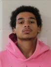 Mugshot of JAYDEN D SMITH